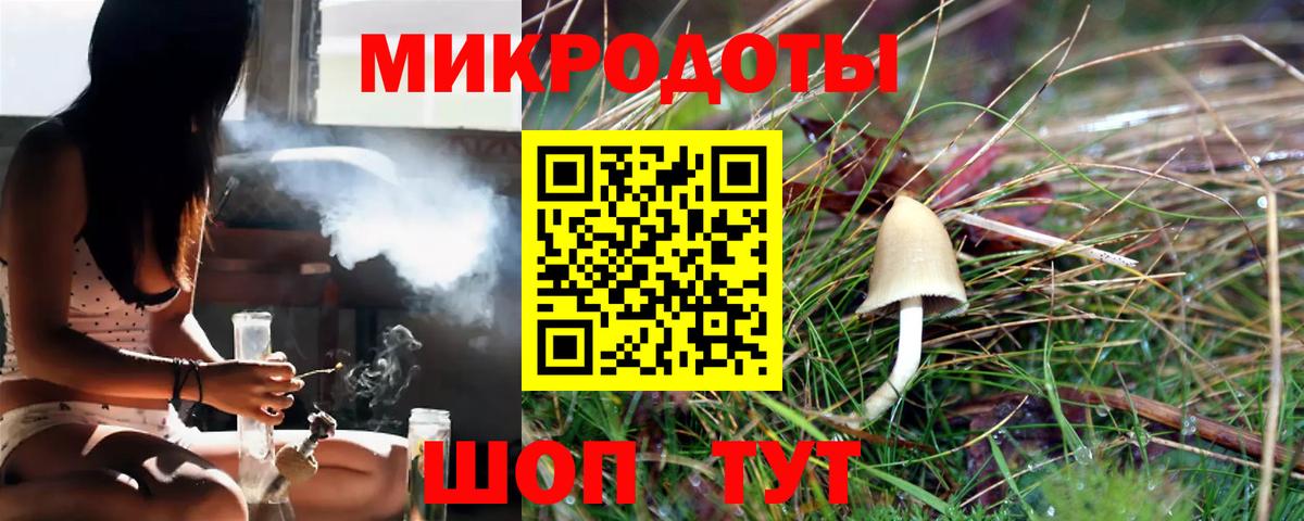 Щёкино  Псилоцибиновые грибы MAGIC MUSHROOMS  Вход с VPN  Псилоцибиновые грибы Cubensis 
